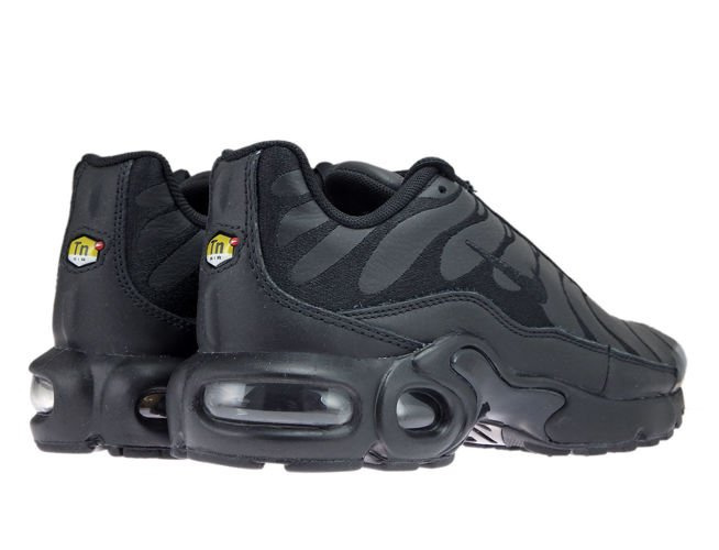 black and gray air max plus