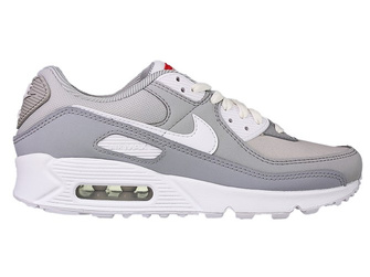 Nike Air Max 90 DJ1494-001 Light Smoke Grey/White