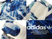 B34486 adidas ZX Flux Mountain