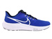 Nike Air Zoom Pegasus 39 DH4071-400 Racer Blue/White-Black