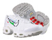 Nike Air Max Plus DN8013-100 White/Light Green Spark-Aluminum