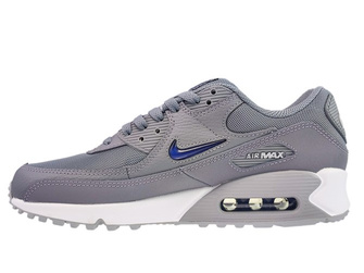 Nike Air Max 90 FN8005-001 Cool Grey/Deep Royal Blue