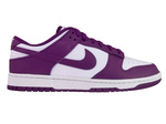 Nike Dunk Low Retro DV0833-107 White/Viotech-White