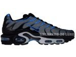 Nike Air Max Plus TN 1 Wolf Grey/Black-Blue Glow