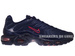 Nike Air Max Plus TN 1 Obsidian/Obsidian-Challenging Red