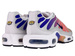 Nike Air Max Plus TN DZ3670 003 Platinum Tint/Black