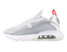 Nike Air Max 2090 DJ3028-001 Light Smoke Grey/Summit White