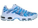 Nike Air Max Plus TN 1 White/University Blue-Midnight Navy