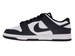 Nike Dunk Low DD1873-102 White/Black