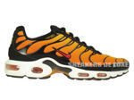 604133-886 Nike Air Max Plus TN 1 Bright Ceramic/Resin-Pimento-Black