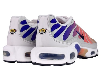 Nike Air Max Plus TN DZ3670 003 Platinum Tint/Black