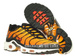 604133-886 Nike Air Max Plus TN 1 Bright Ceramic/Resin-Pimento-Black