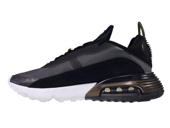 Nike Air Max 2090 DC4461-001 Black/Metallic Gold-White