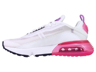 Nike Air Max 2090 CJ4066-003 Platinum Tint/Blackened Blue