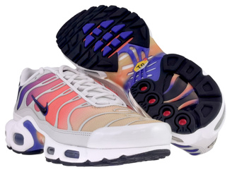 Nike Air Max Plus TN DZ3670 003 Platinum Tint/Black