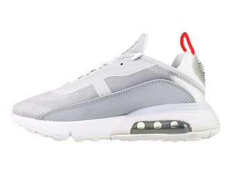 Nike Air Max 2090 DJ3028-001 Light Smoke Grey/Summit White