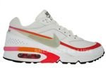 Nike Air BW Classic White/Granite Sunburst 309207-102